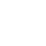 palm-img
